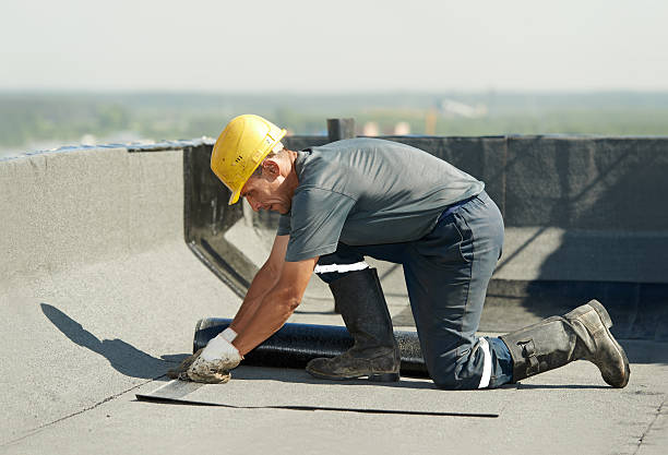 Best Commercial Insulation in Three Rivers, TX